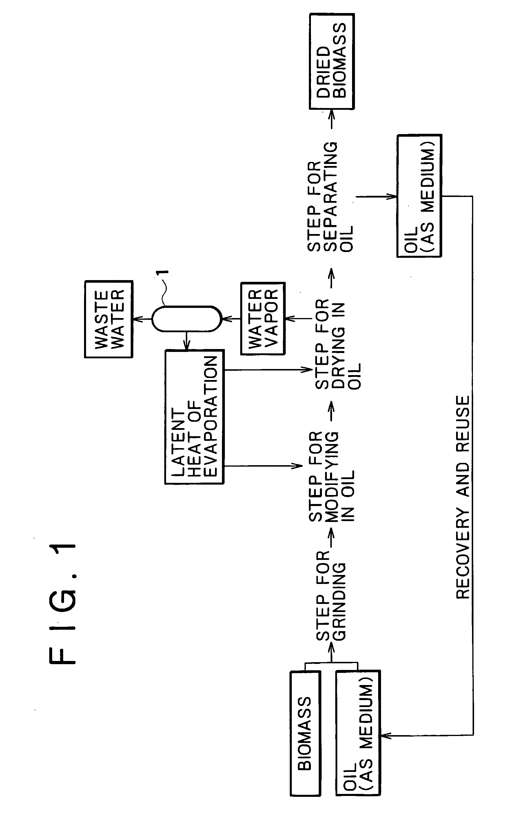 Method for drying plant-derived biomass and method for producing biomass fuel