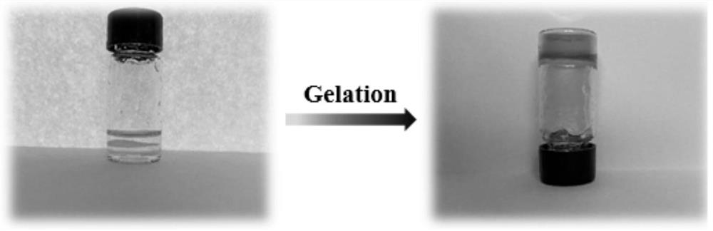 A kind of molecular brush polymer film based on cellulose network structure and its preparation method and application