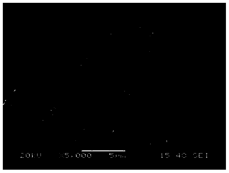 A kind of nanoporous polymer foam and preparation method thereof