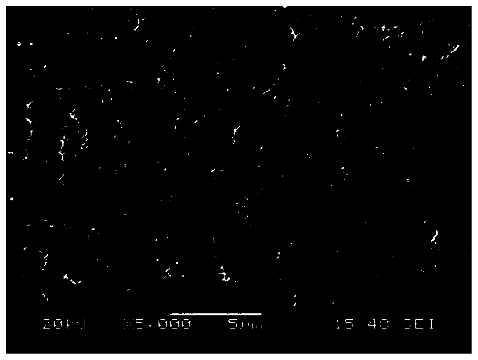 A kind of nanoporous polymer foam and preparation method thereof