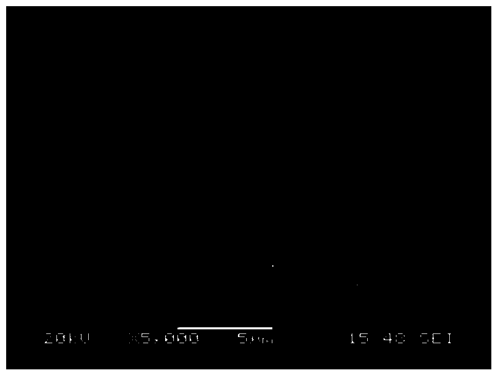 A kind of nanoporous polymer foam and preparation method thereof