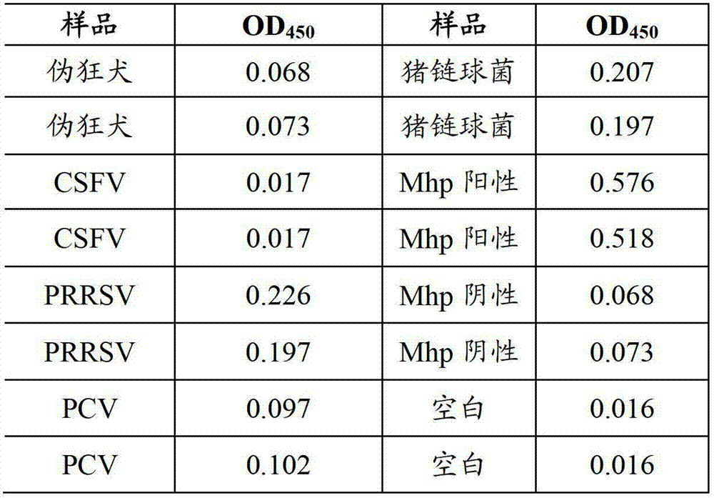 Mycoplasma hyopneumoniae antibody detection kit and manufacture method thereof