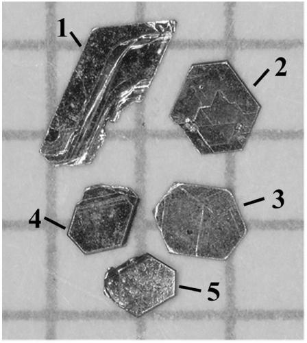 Single crystal material as well as preparation method and application thereof