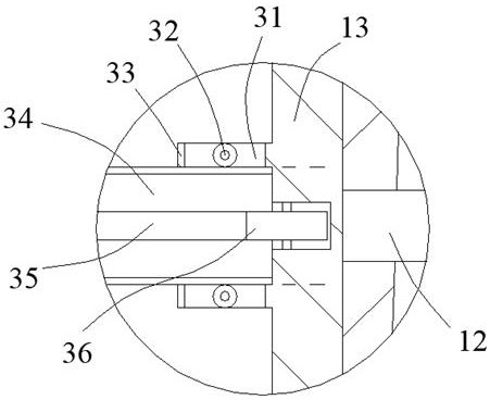 Camellia oil squeezing equipment