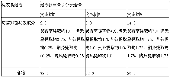 Mould-proof bacteriostatic Chinese medicinal detergent