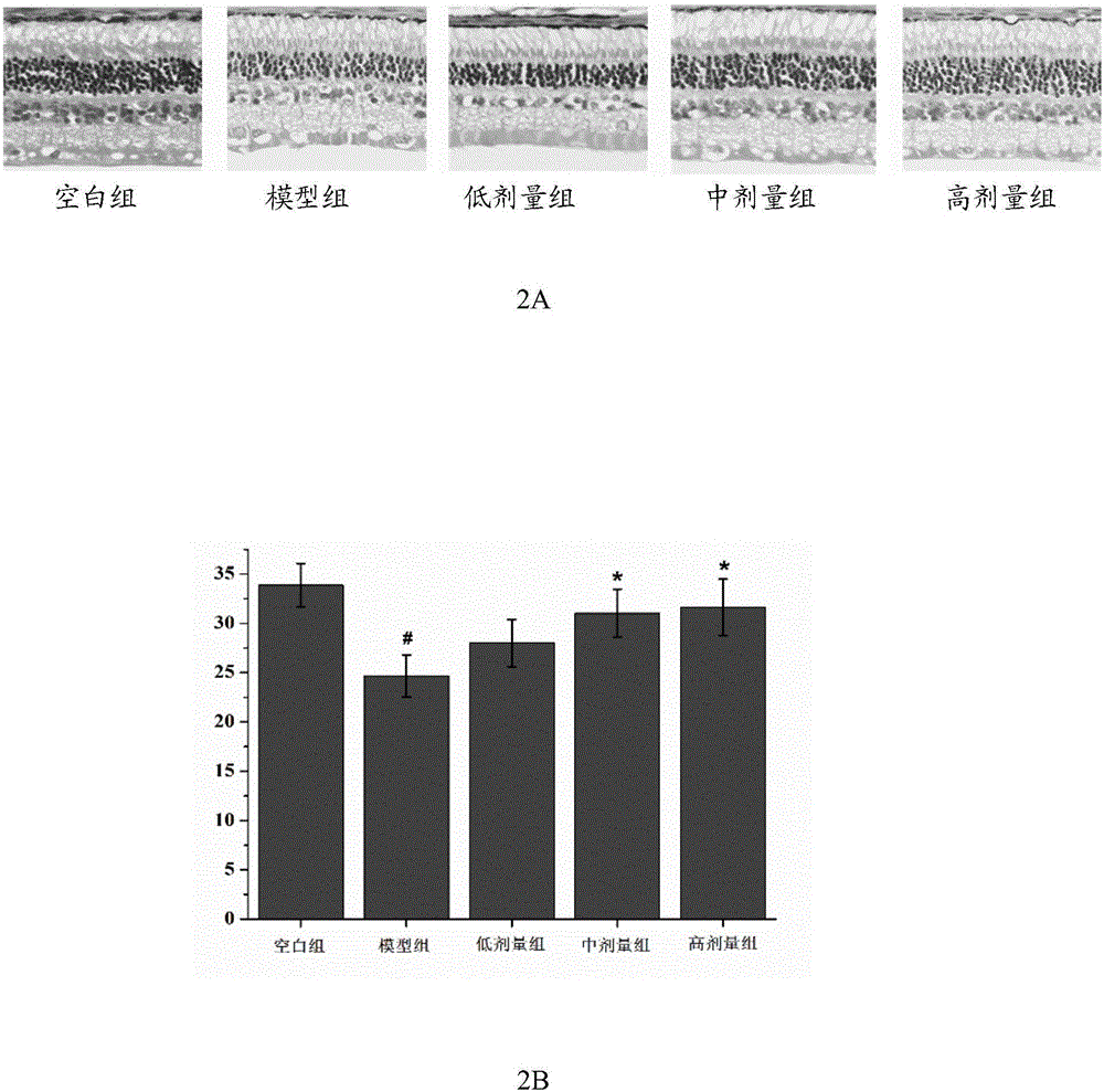 Composition with effects of protecting liver and improving eyesight and preparation method thereof