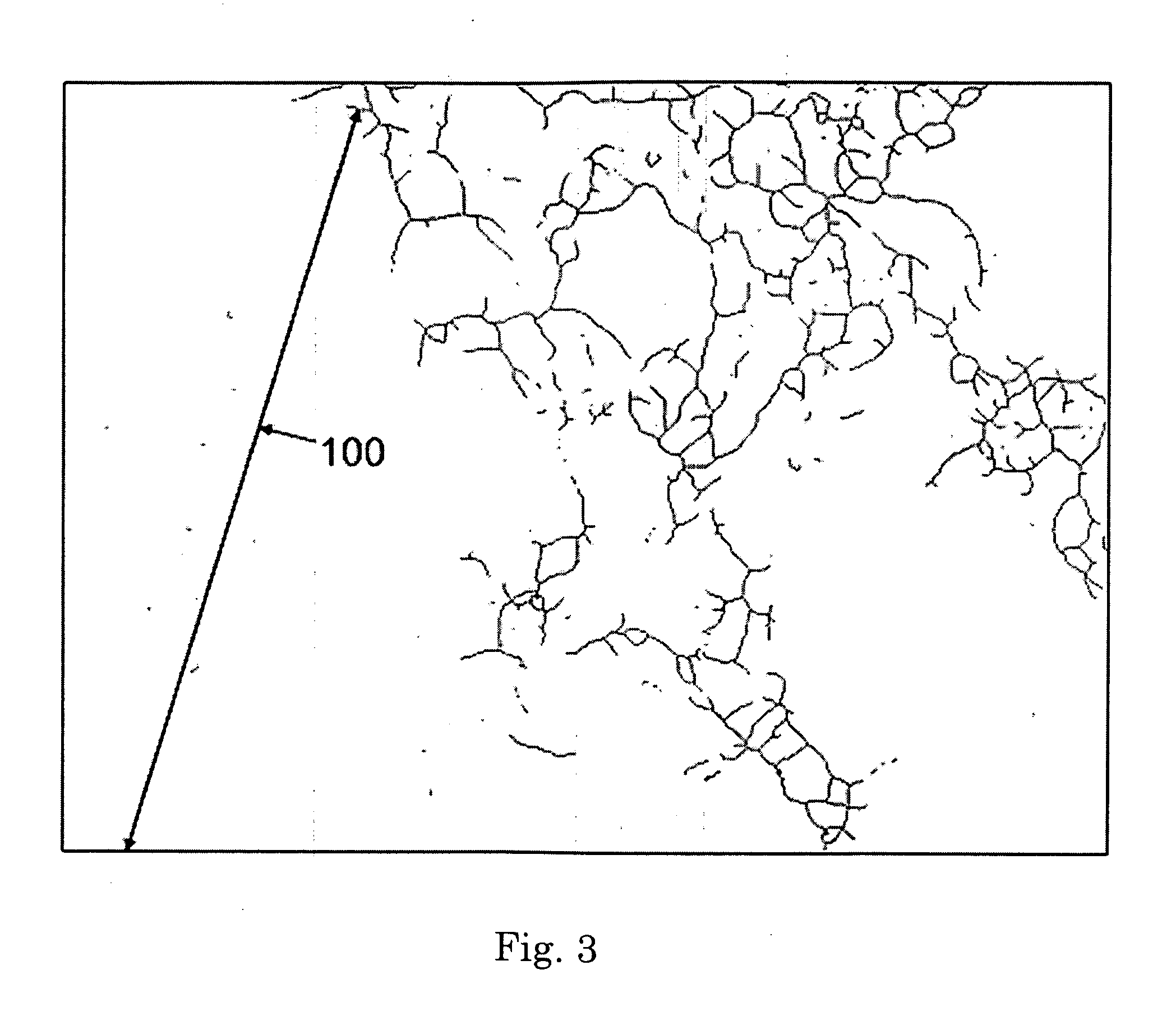 Liquid detergent composition comprising an external structuring system comprising a bacterial cellulose network