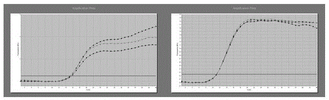 Sequence siRNA-180 achieving targeted inhibition of mouse interleukin-17A gene