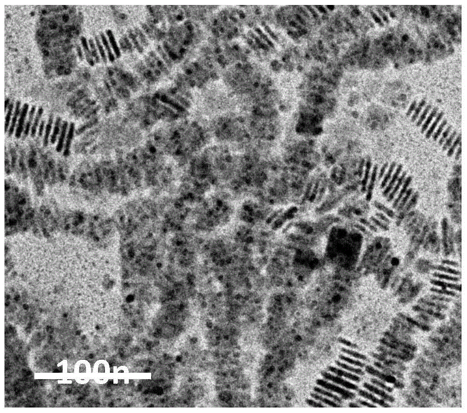 Inorganic perovskite CsPbX3 nanosheet synthesis method