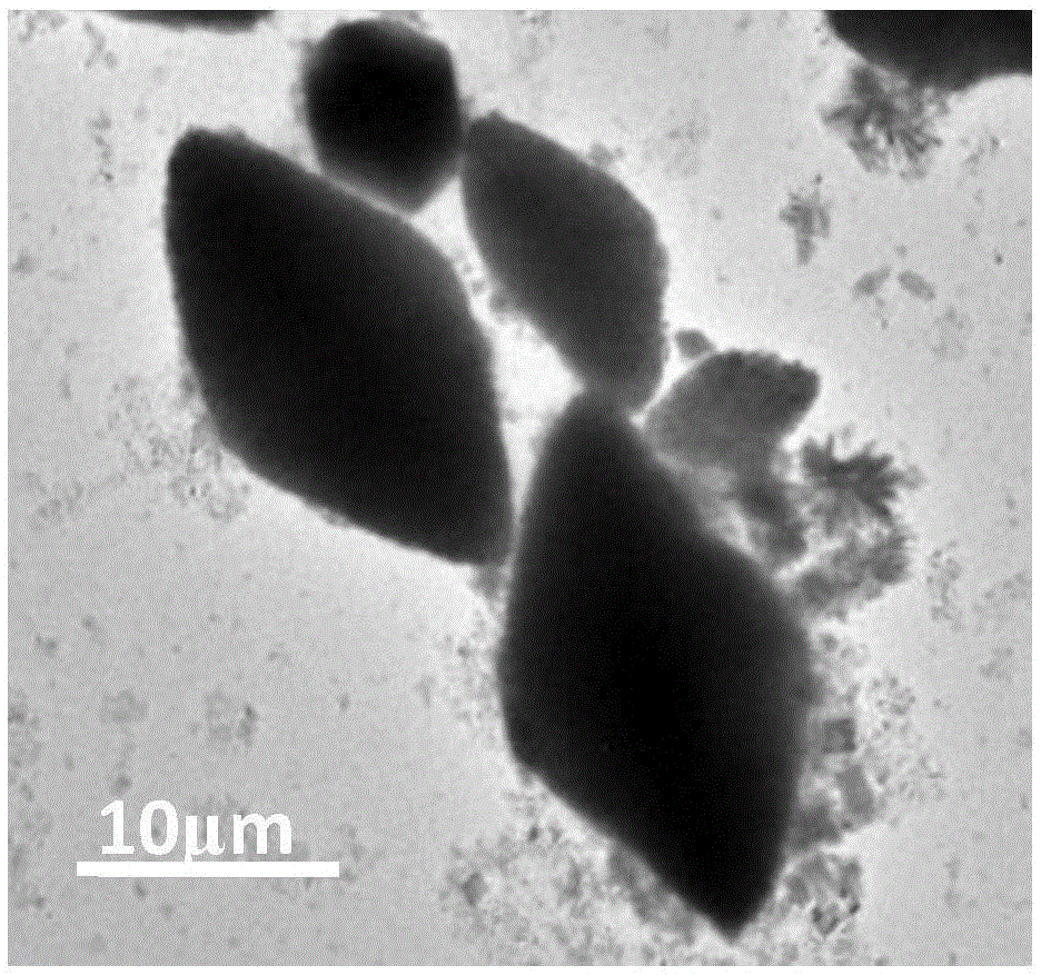 Inorganic perovskite CsPbX3 nanosheet synthesis method