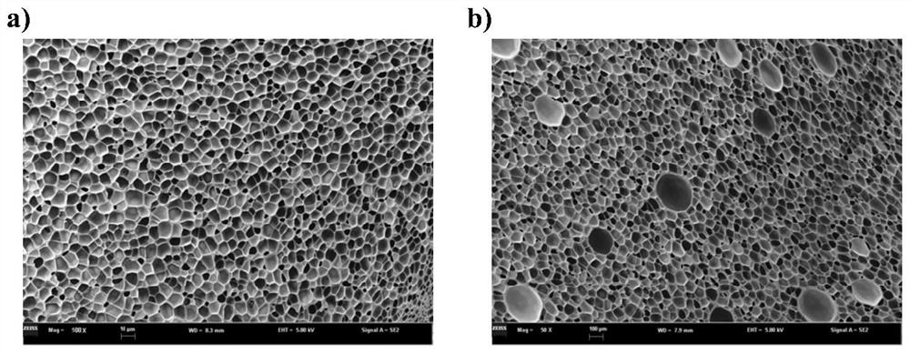 PP/PA6 porous composite material and preparation method thereof