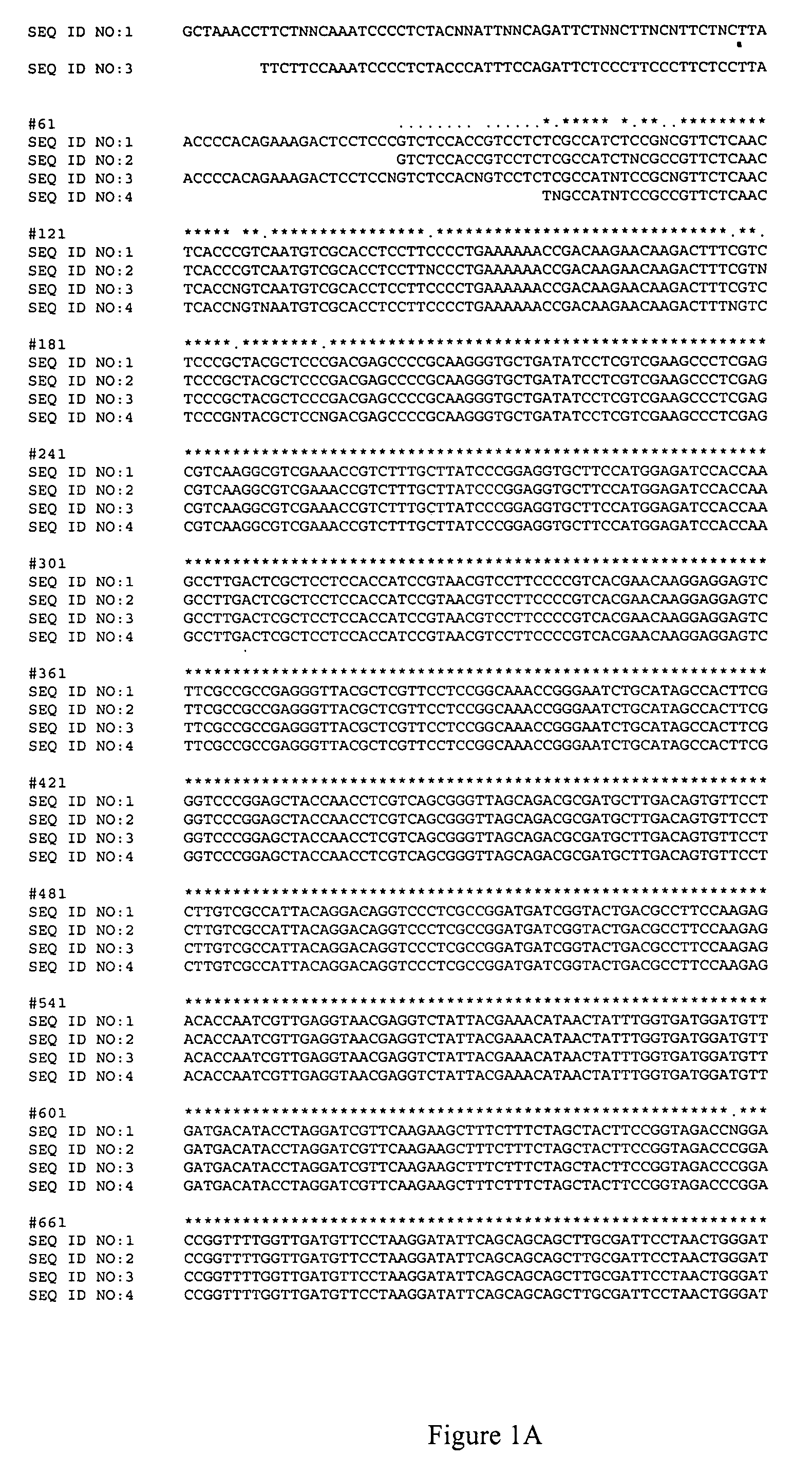 Assay for imidazolinone resistance mutations in Brassica species