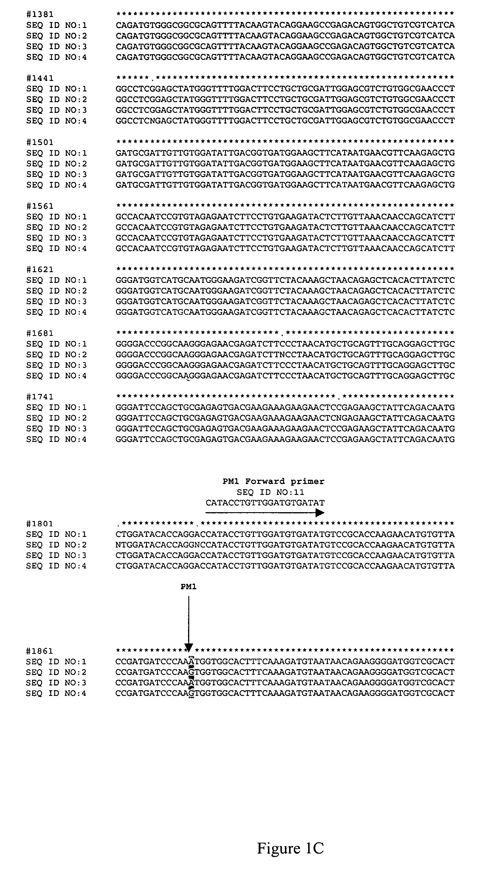 Assay for imidazolinone resistance mutations in Brassica species