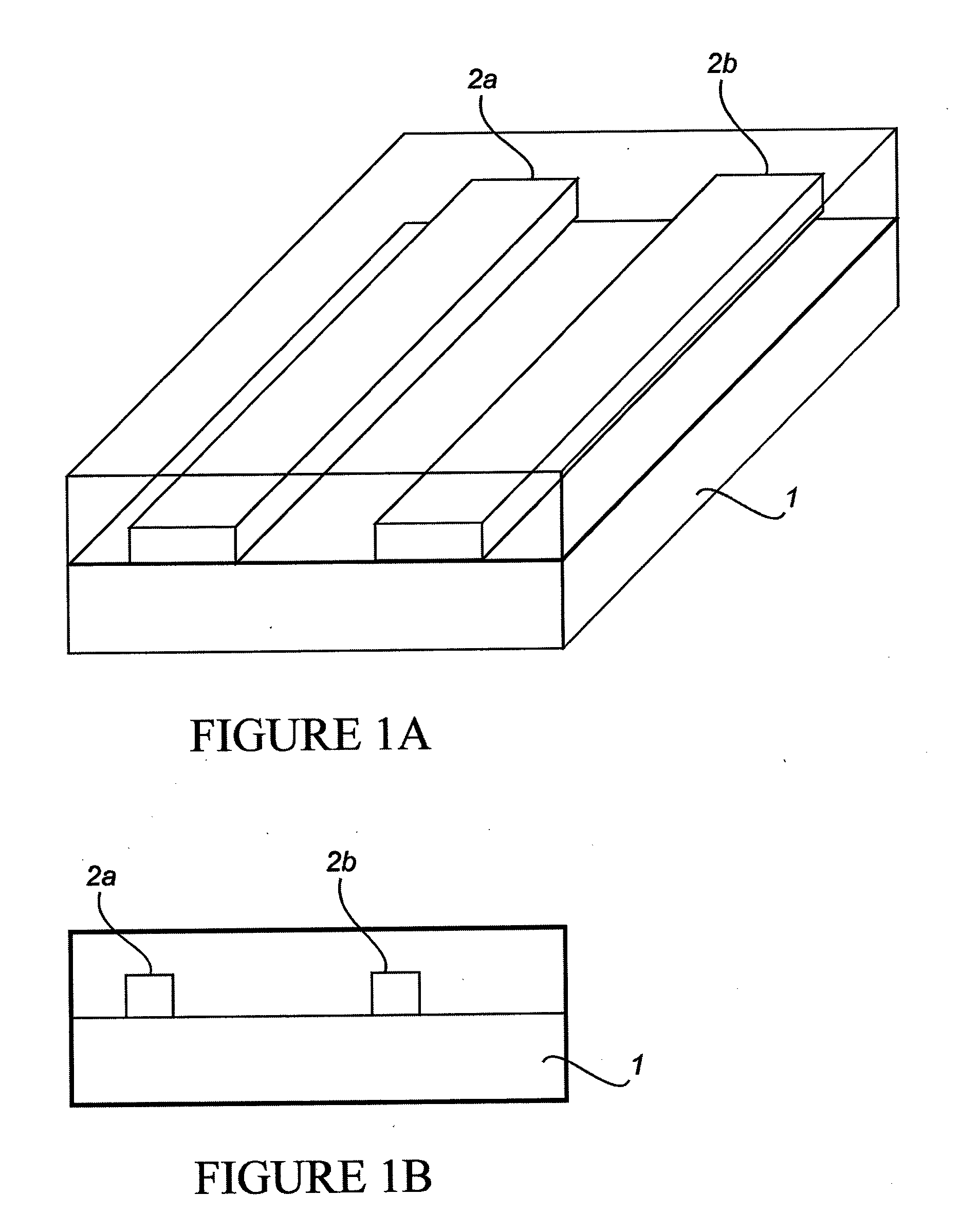 Nano-Scale Biosensors