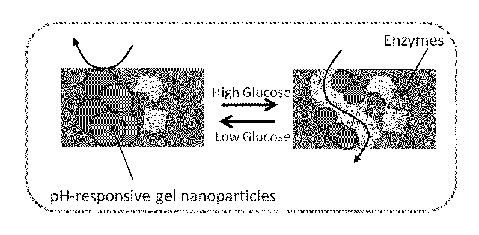 Implantable-glucose responsive insulin delivery device