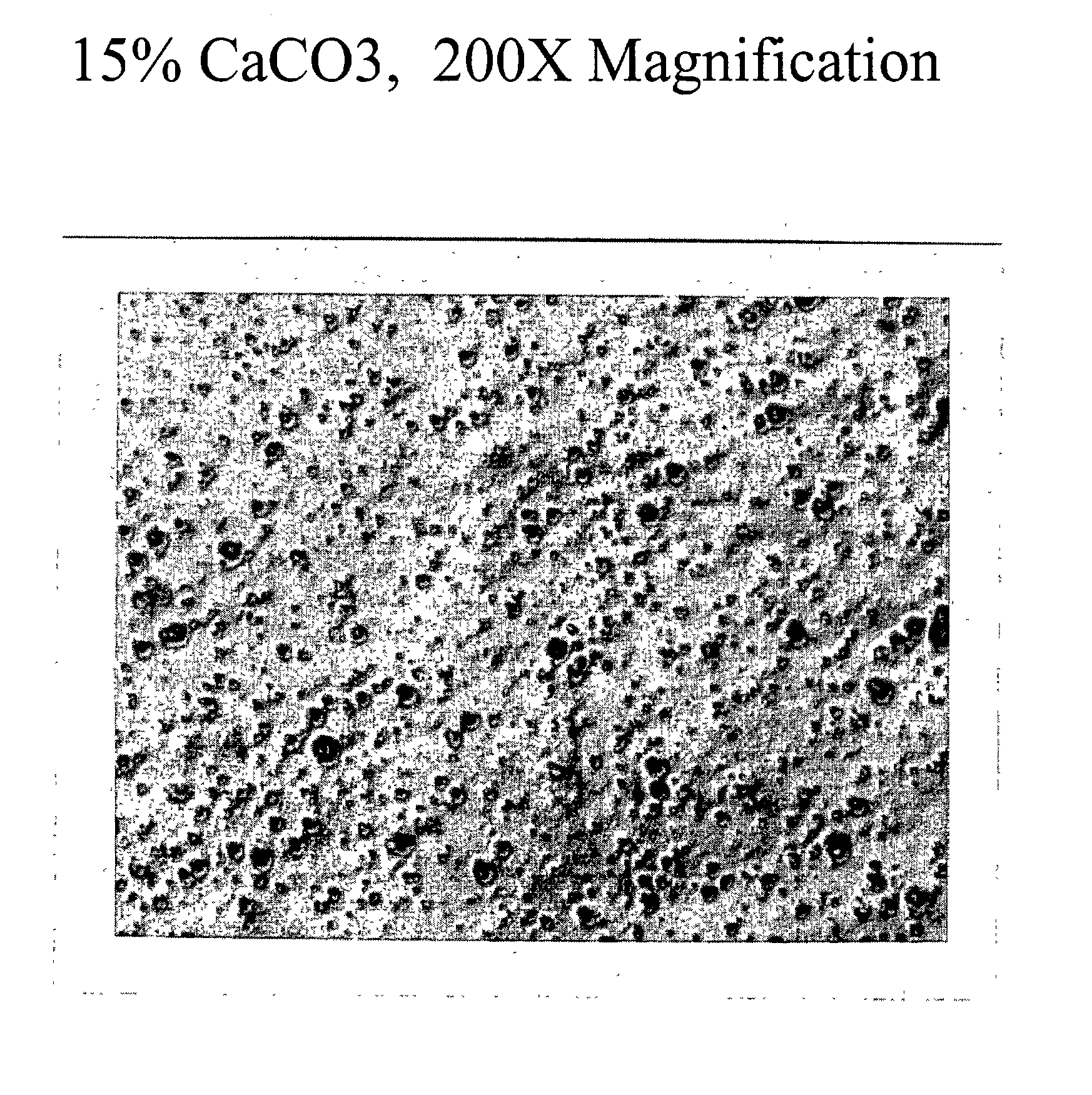 Polyolefin oil resistant film using porous particles