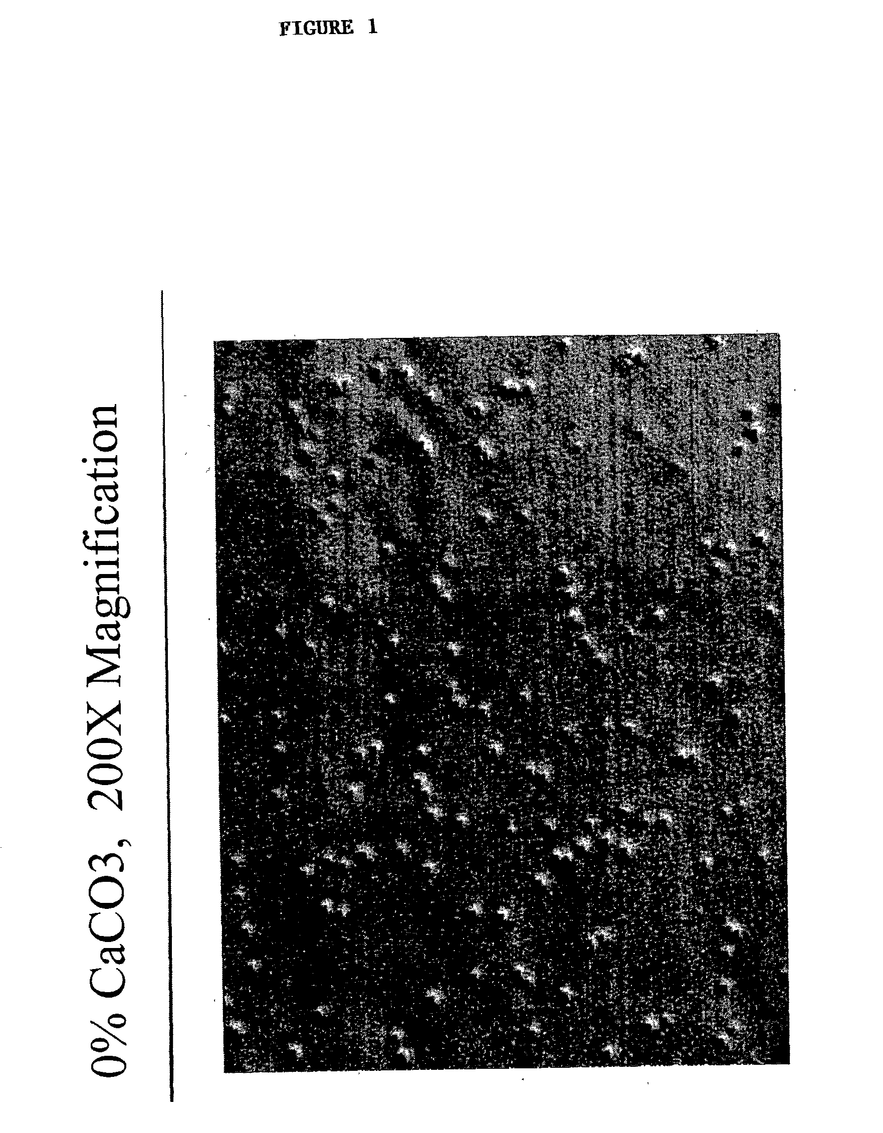 Polyolefin oil resistant film using porous particles