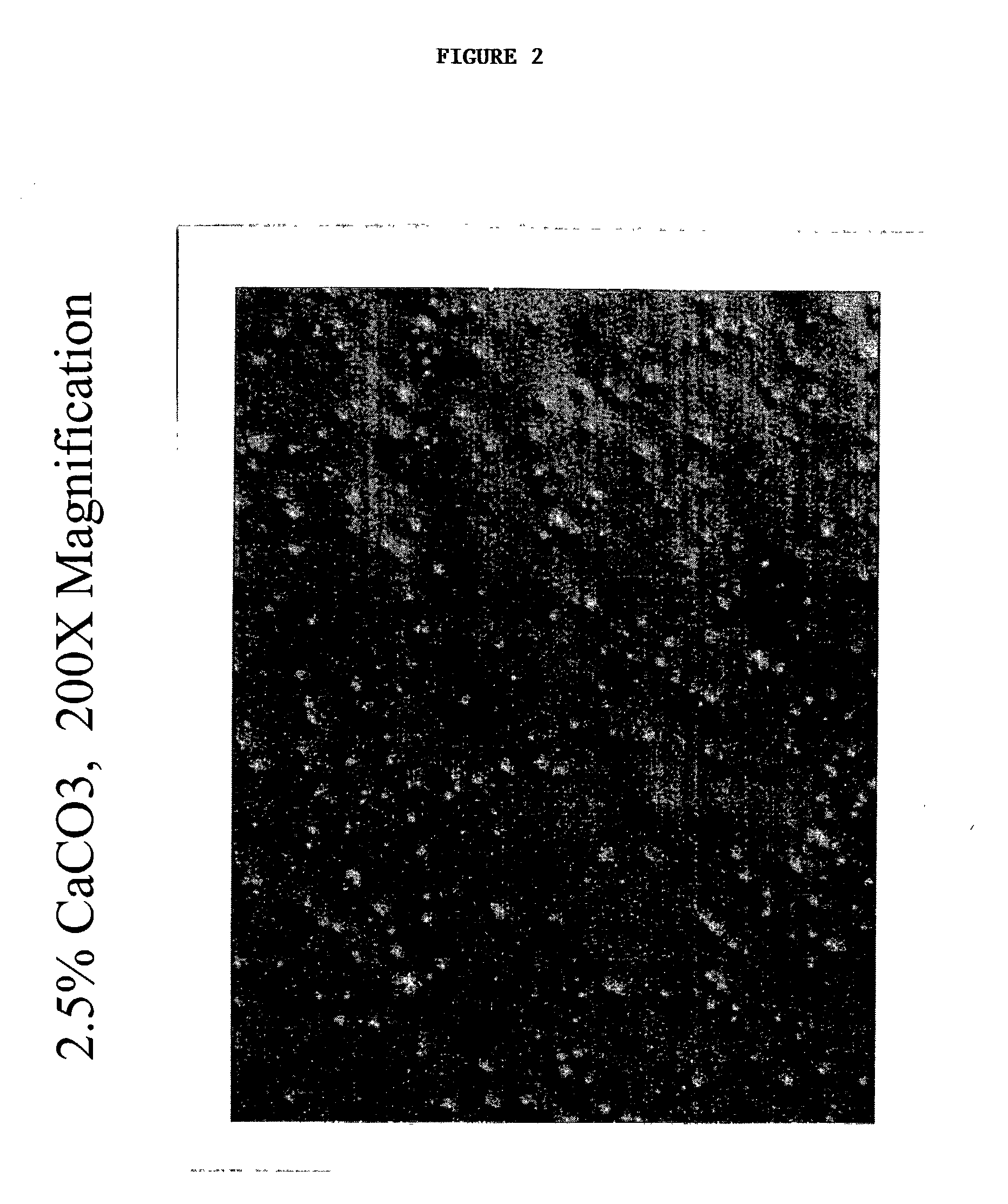 Polyolefin oil resistant film using porous particles