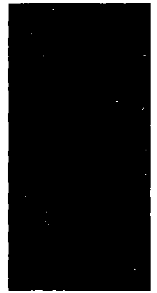 Seedling cultivating substrate and preparation method thereof