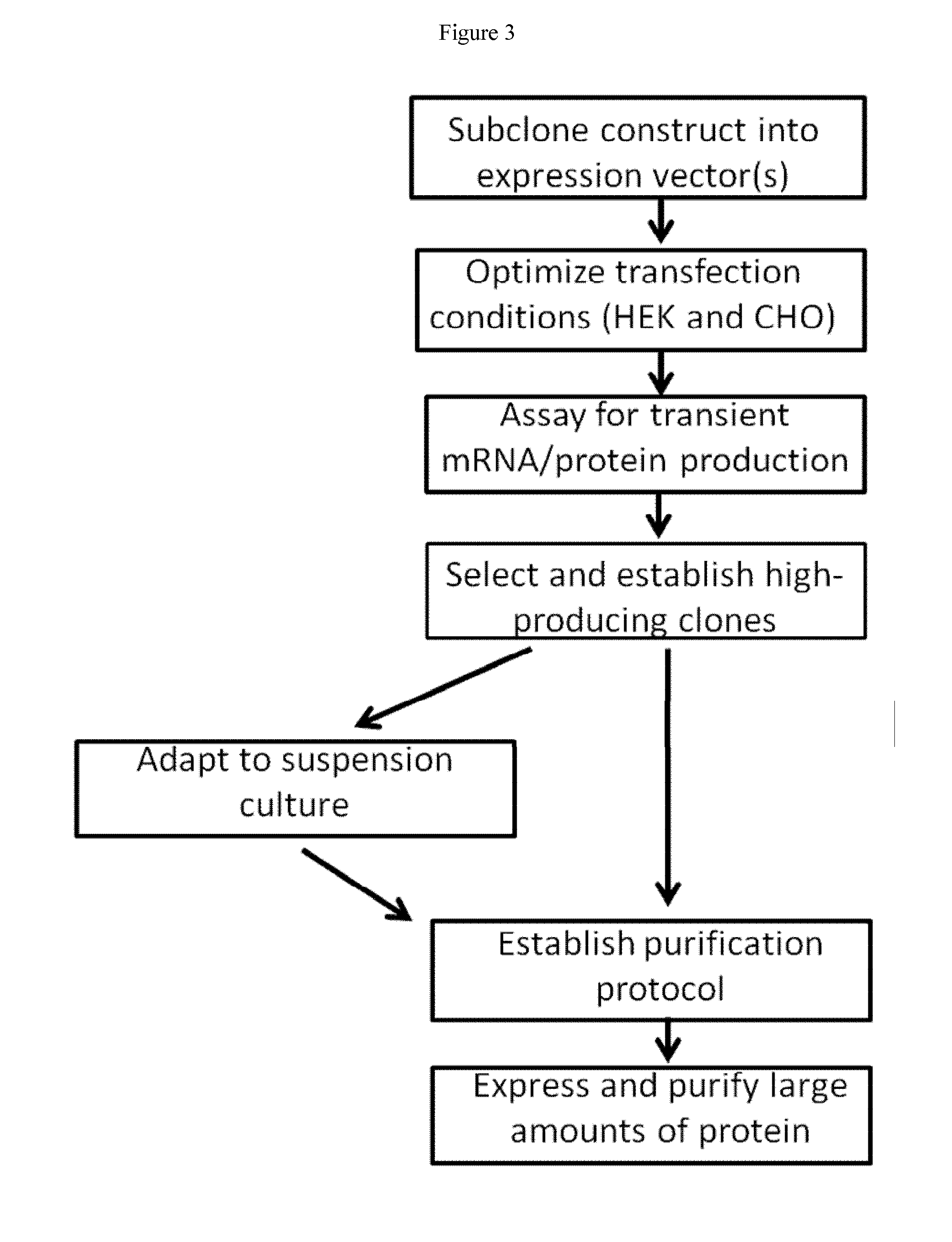 Systems, compositions, and methods for transplantation