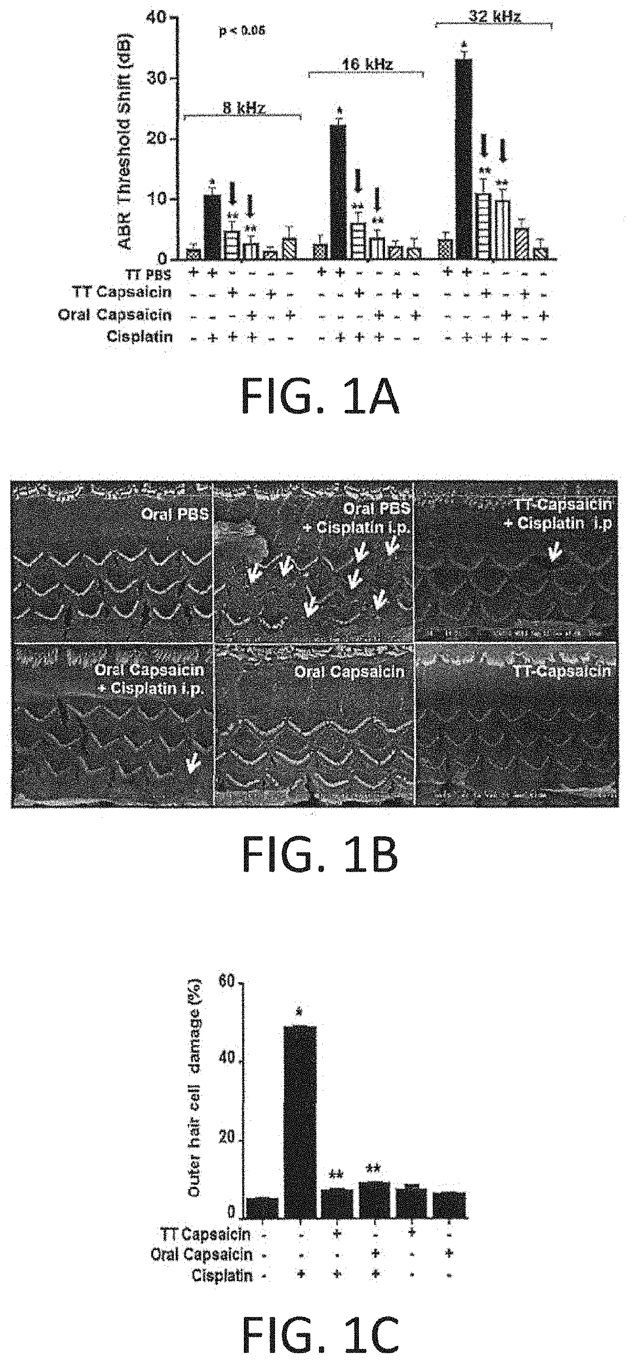 REGIMENS, COMPOSITIONS AND METHODS WITH CAPSAICIN AND TNF-alpha INHIBITOR