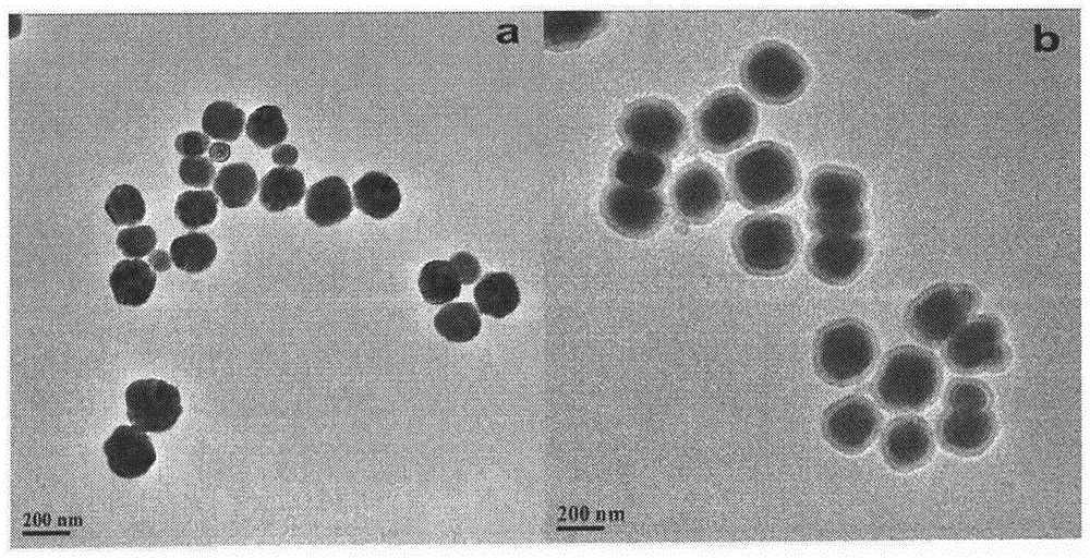 Fluorescence resonance energy transfer-based detection of fumonisin b  <sub>1</sub> Methods