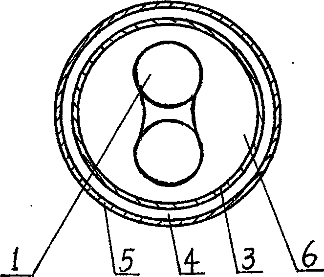 Light catalyzed ozone tube