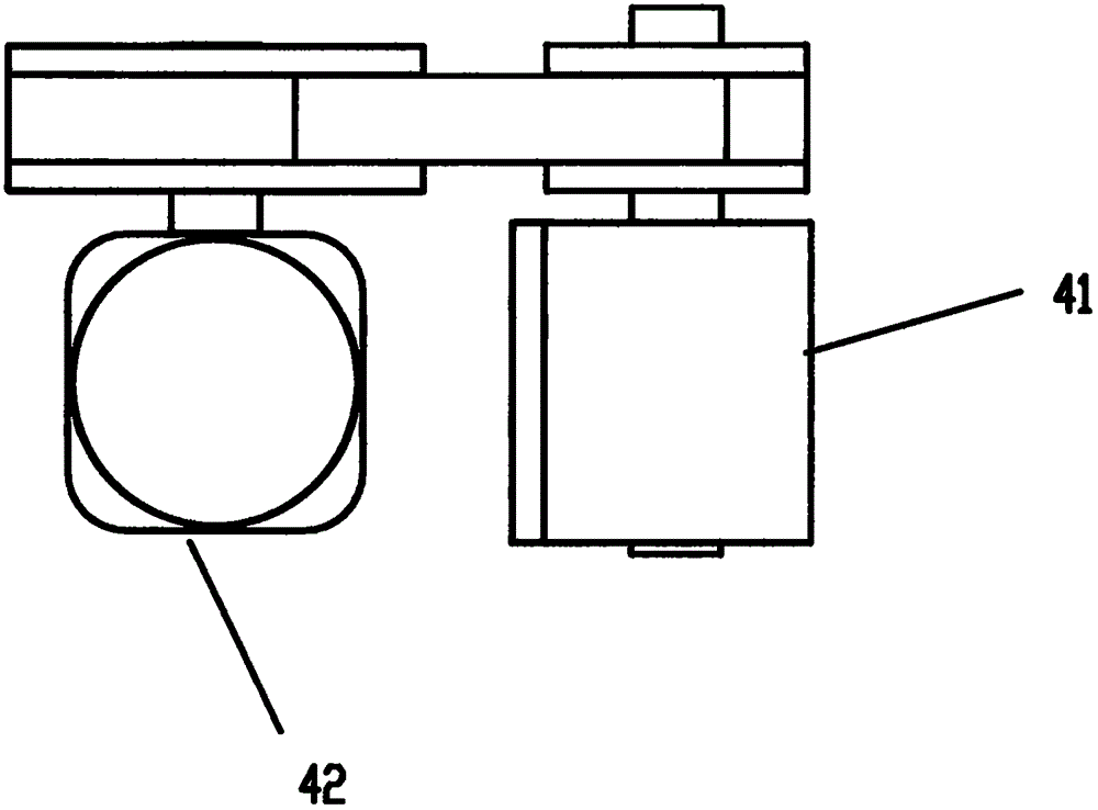 Full-automatic garlic clove tip aligning device