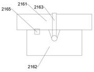 Sea sedge slicing and packaging device