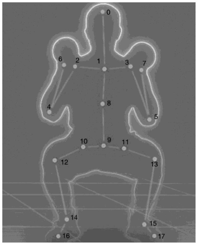 Physical fitness testing method and device, computer equipment and storage medium