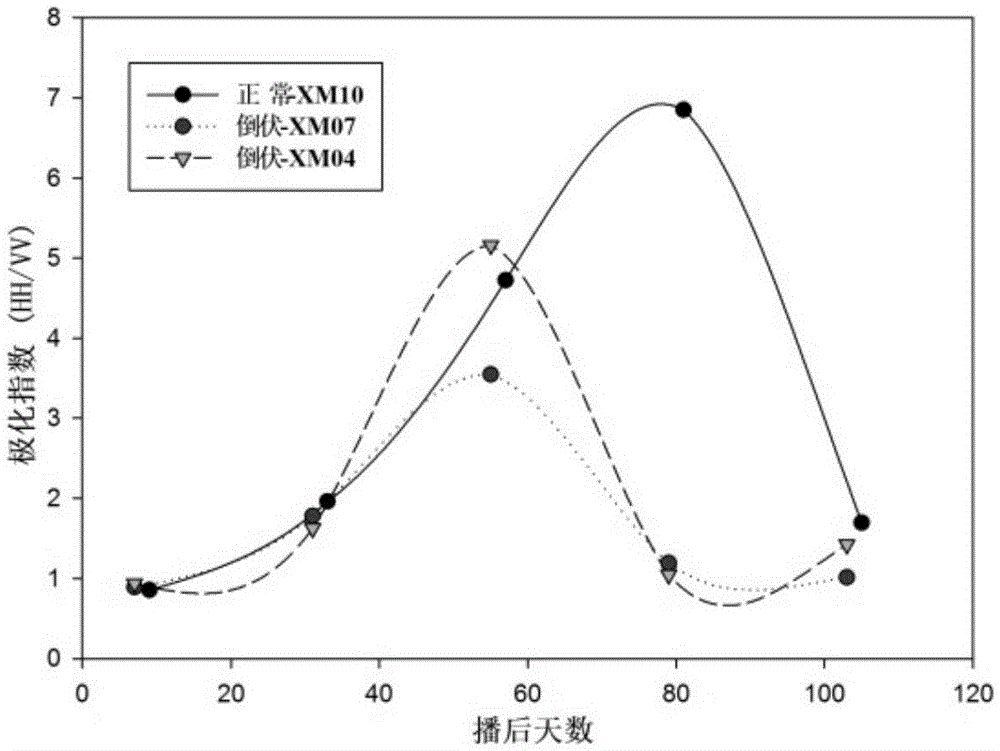 A method and device for monitoring wheat lodging using radar remote sensing data