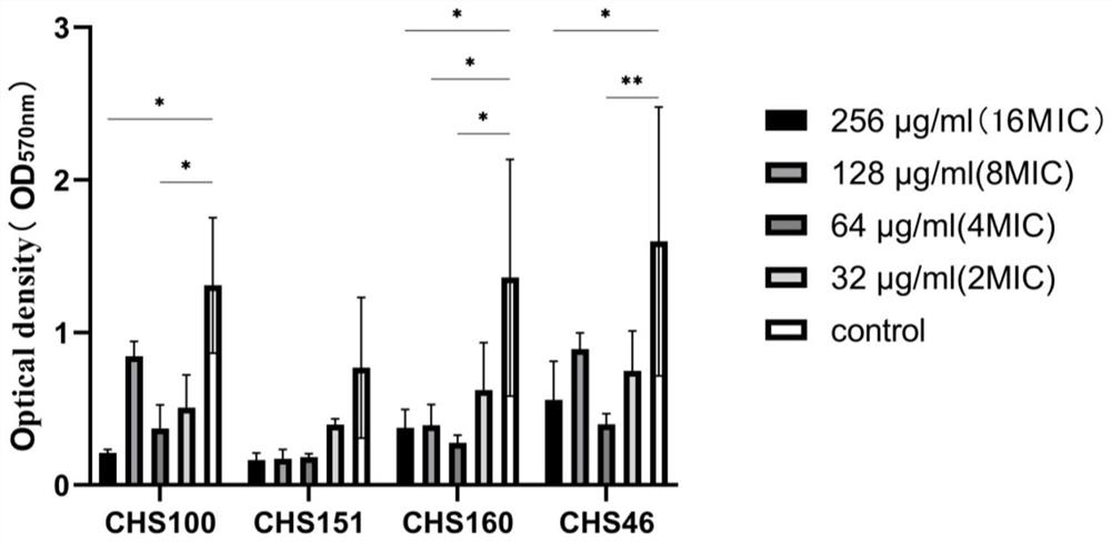 Application of benzbromarone in resisting infection of staphylococcus aureus and biofilm thereof