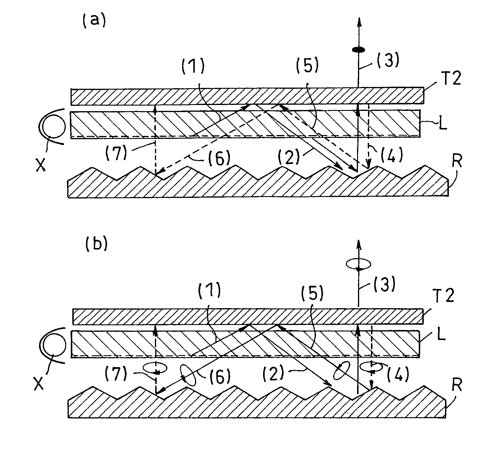 Light source device and crystal display device