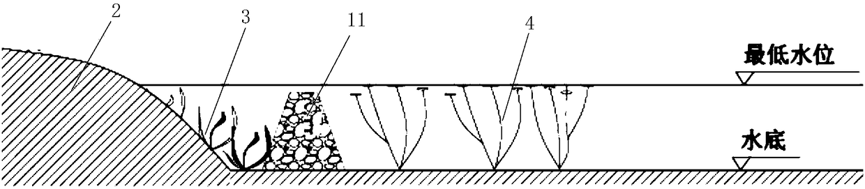 Multi-stage purification ecological wave-eliminating system for high stormy wave and low transparency water body area