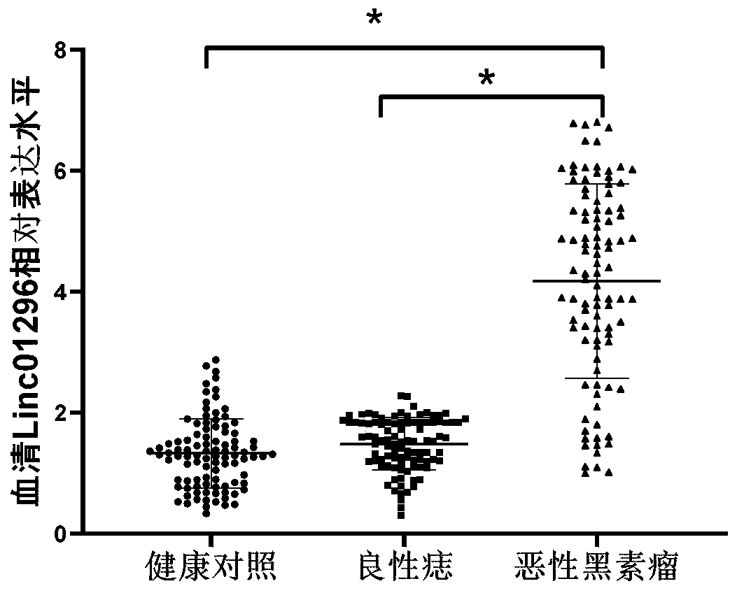 Long-chain non-coding RNA marker for early diagnosis of malignant melanoma and application thereof