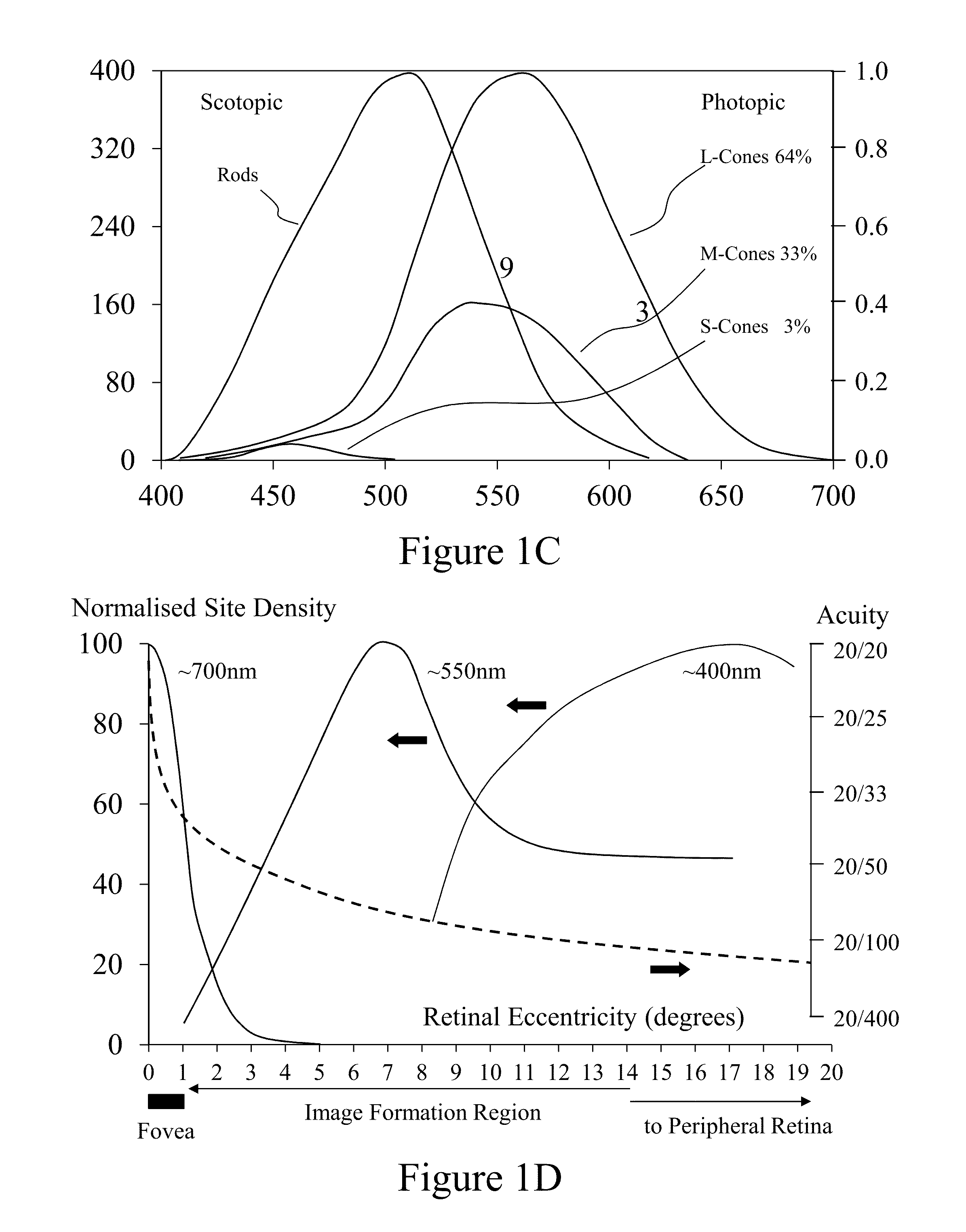 Apparatus and Method for Enhancing Human Visual Performance in a Head Worn Video System