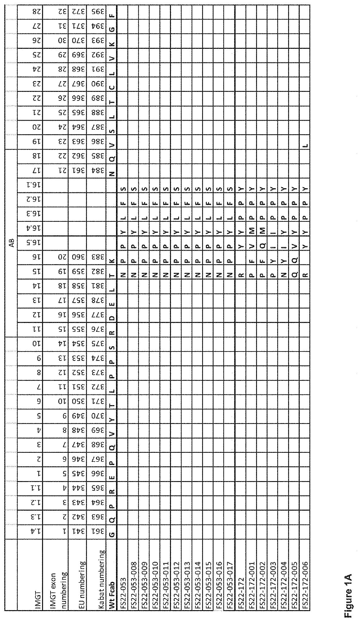 Fc binding fragments comprising a cd137 antigen-binding site