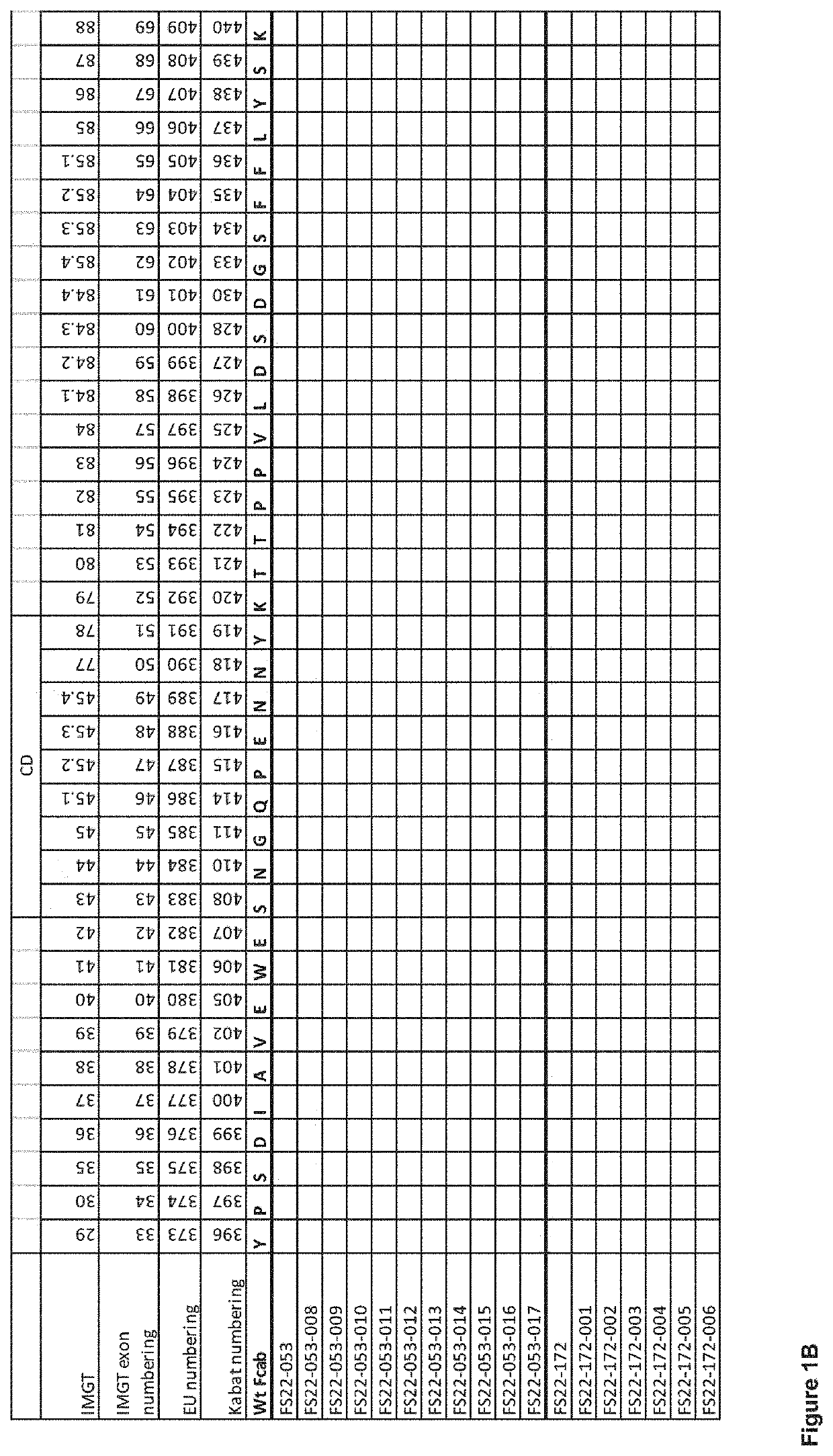 Fc binding fragments comprising a cd137 antigen-binding site