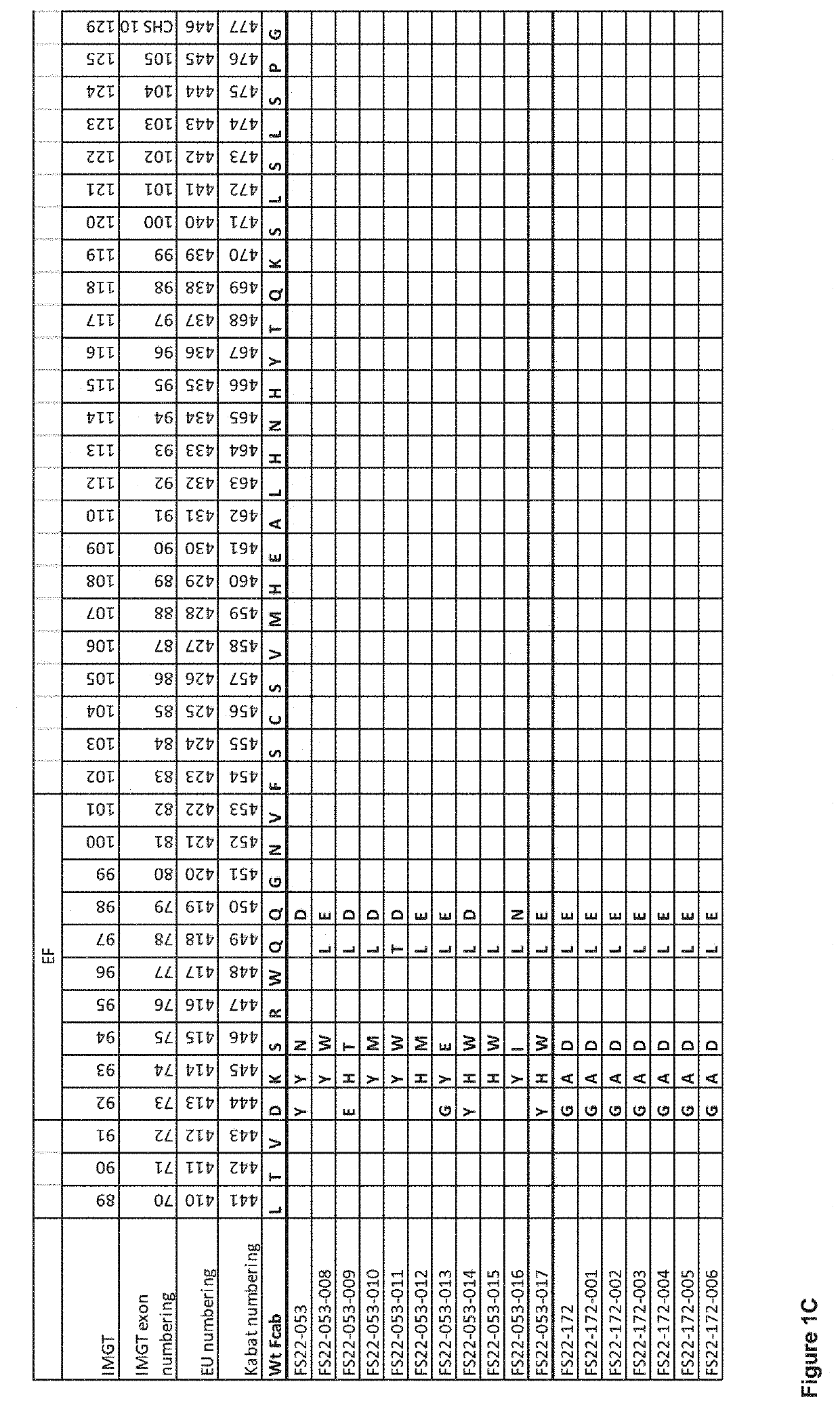 Fc binding fragments comprising a cd137 antigen-binding site