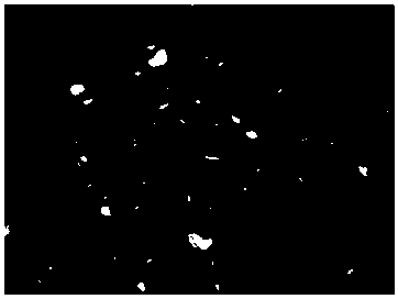 Extruded and foamed thermoplastic polyurethane elastomer particle and preparation method thereof