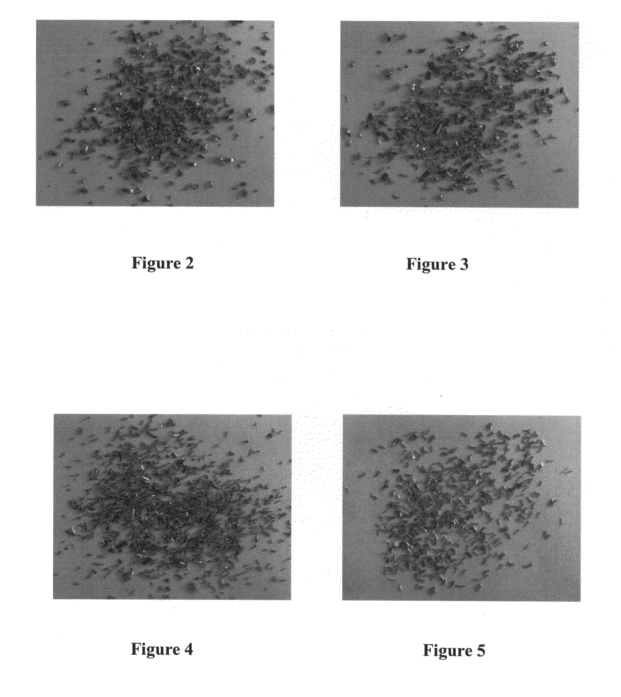 Brass alloys having superior stress corrosion resistance and manufacturing method thereof