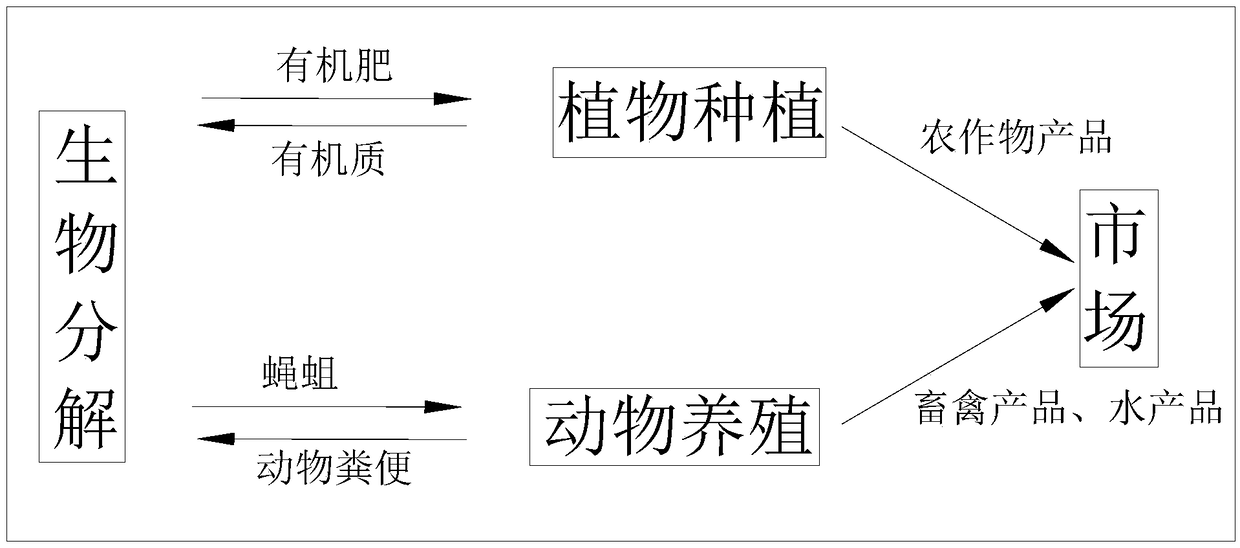 Circulating breeding method