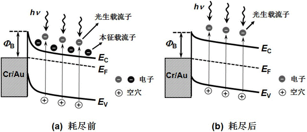 Fully depleted iron electric side gate single nanometer wire near infrared electro photonic detector and preparation method