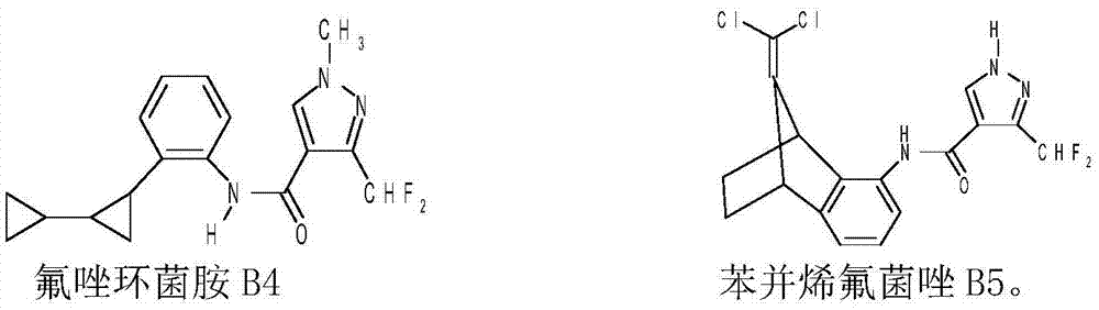 Fungicide composition with two active components and application of fungicide composition