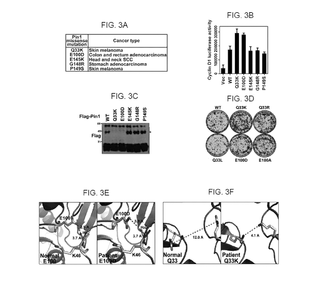 Atra for modulating pin1 activity and stability