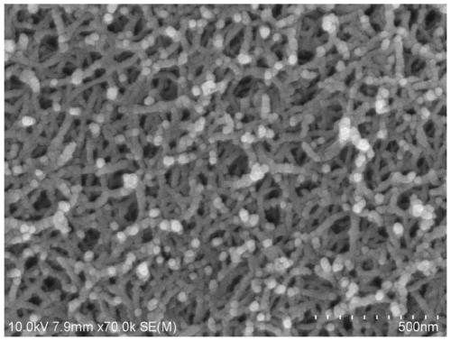 Carbon fiber sandwich composite material and preparation method and application thereof