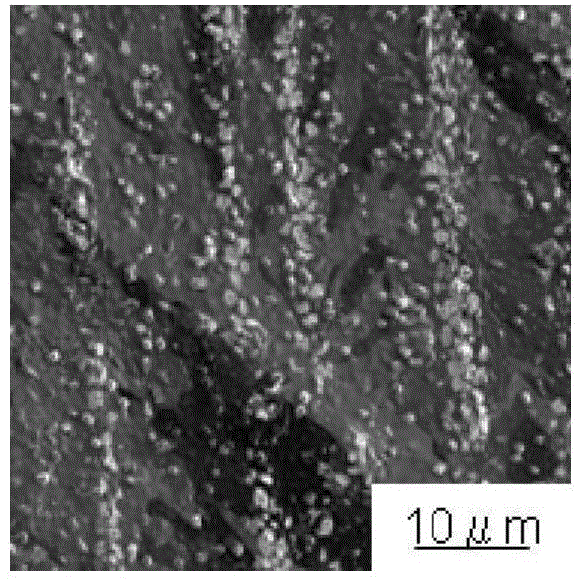 Tin-plated copper-alloy material for terminal having excellent insertion/extraction performance