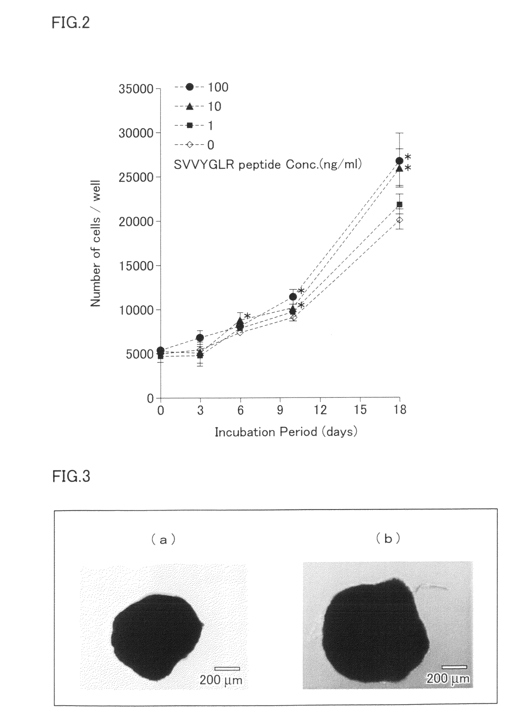 Mesenchymal cell proliferation promoter and skeletal system biomaterial