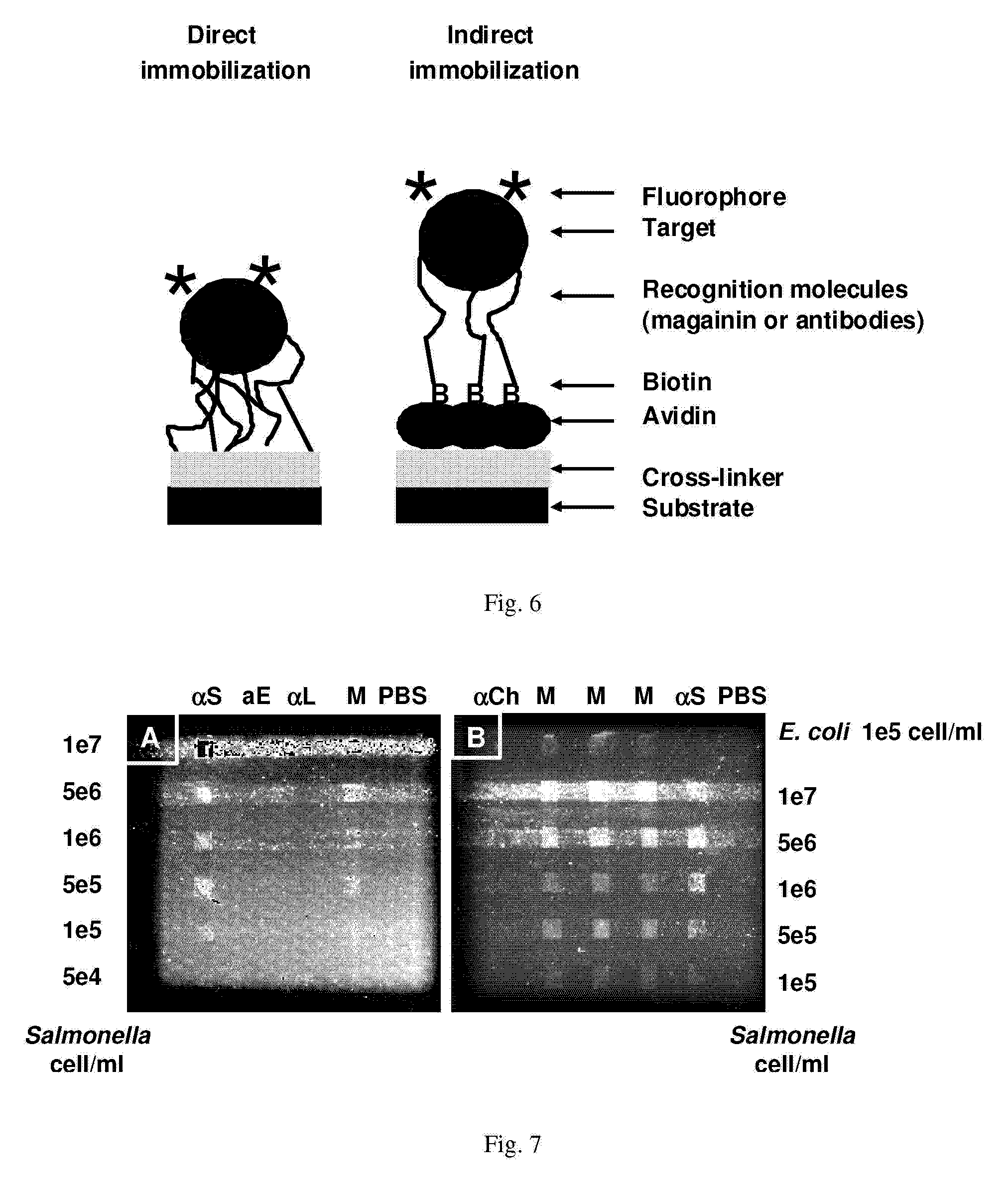 Affinity-based detection of biological targets