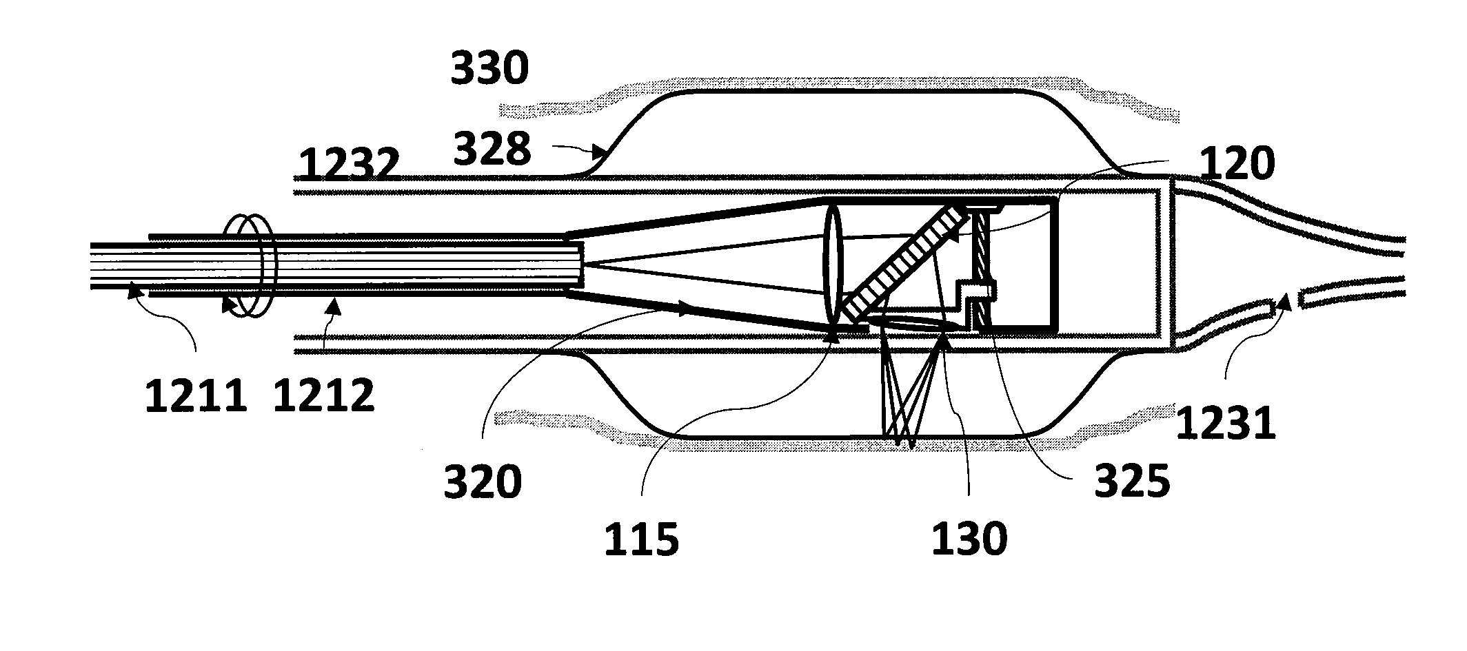 Endoscopic biopsy apparatus, system and method